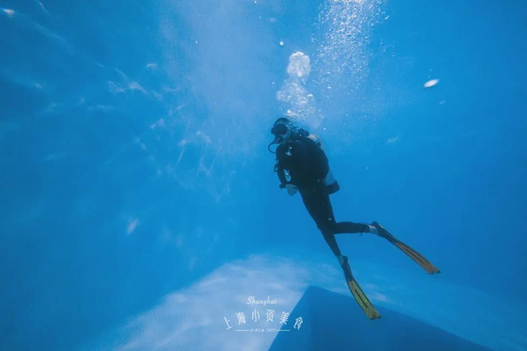 人民至上!顶流“尔滨”用公安元素铺设温暖寻亲路